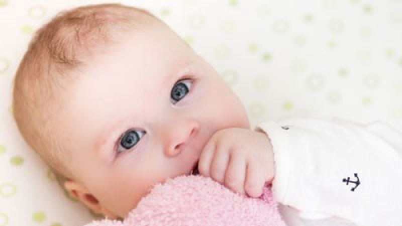 15004 lit de bebe lequel choisir