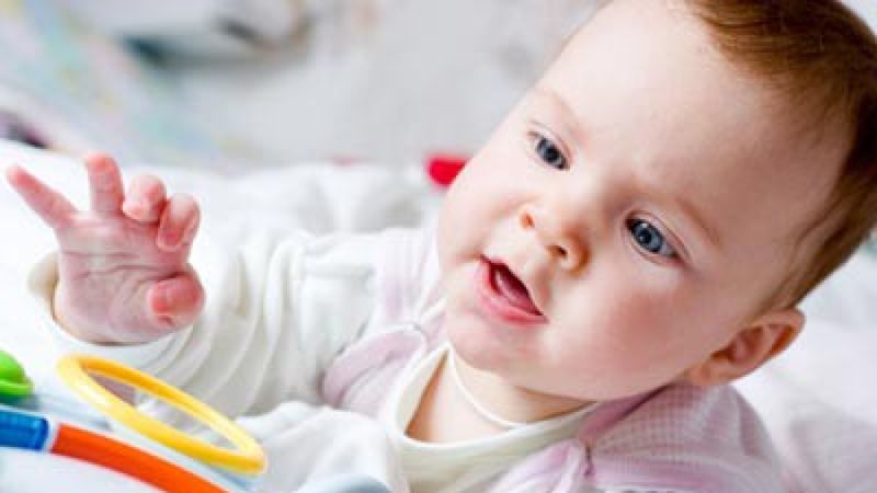 22756 tableau d activites ca plait aux bebes